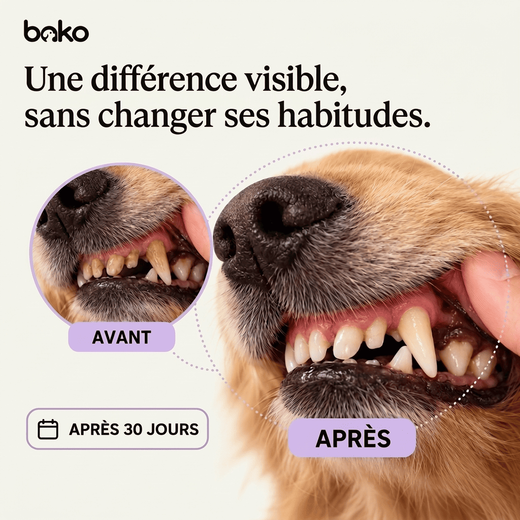 Bako Dental+™ — Additif dentaire pour chien, 200 ml