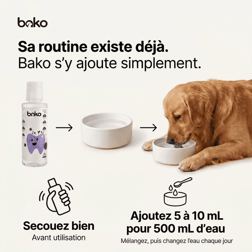 Bako Dental+™ — Additif dentaire pour chien, 200 ml