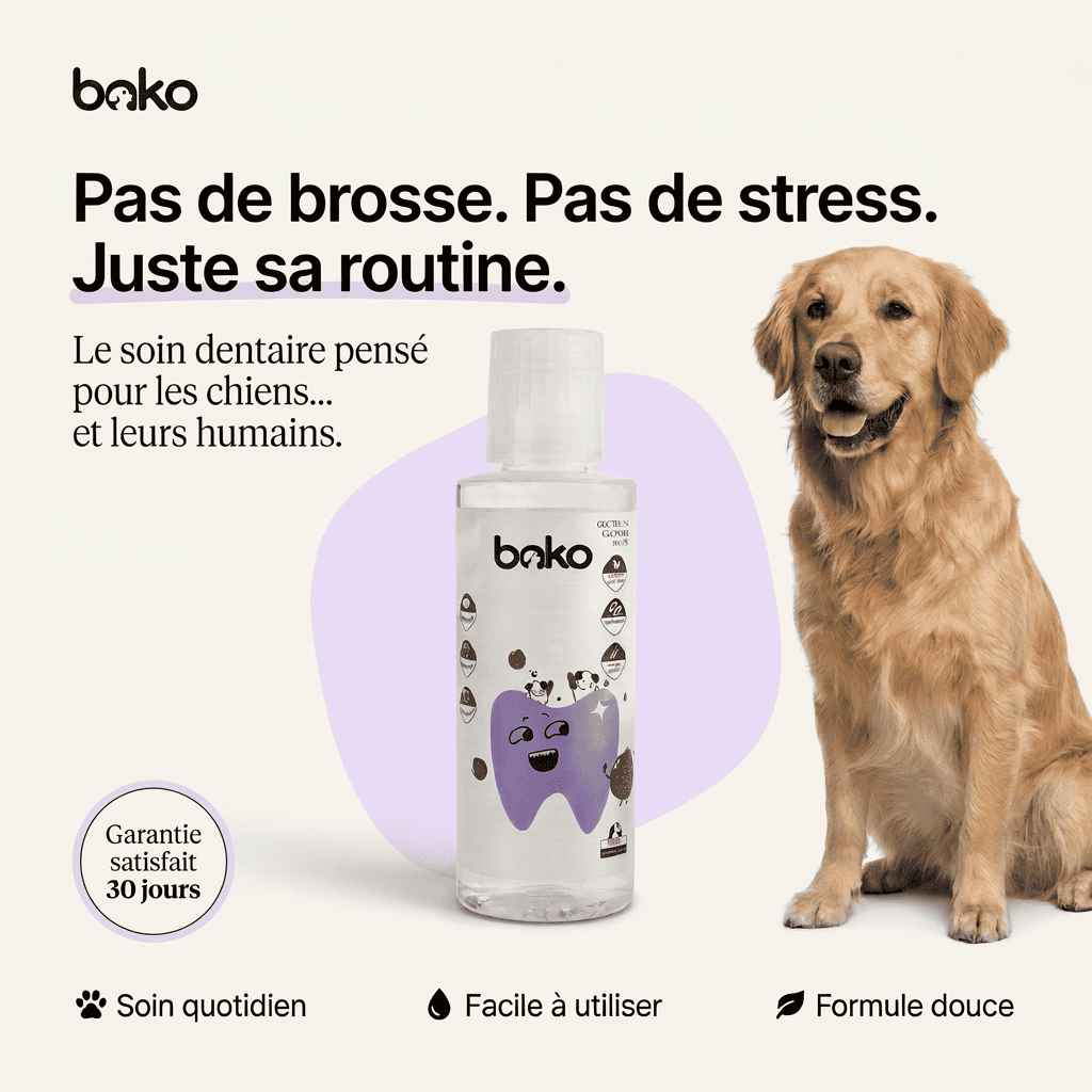 Bako Dental+™ — Additif dentaire pour chien, 200 ml